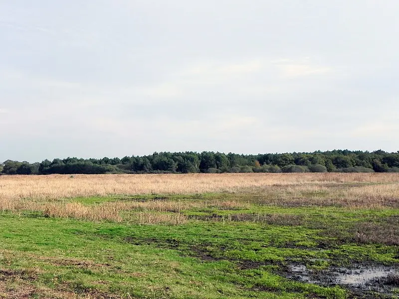 Foto de Menhir dit de Méderac de manera diferente llamado Roche de Len - Poulpy - © Creative Commons (https://creativecommons.org/licenses/by-sa/4.0/deed.fr)