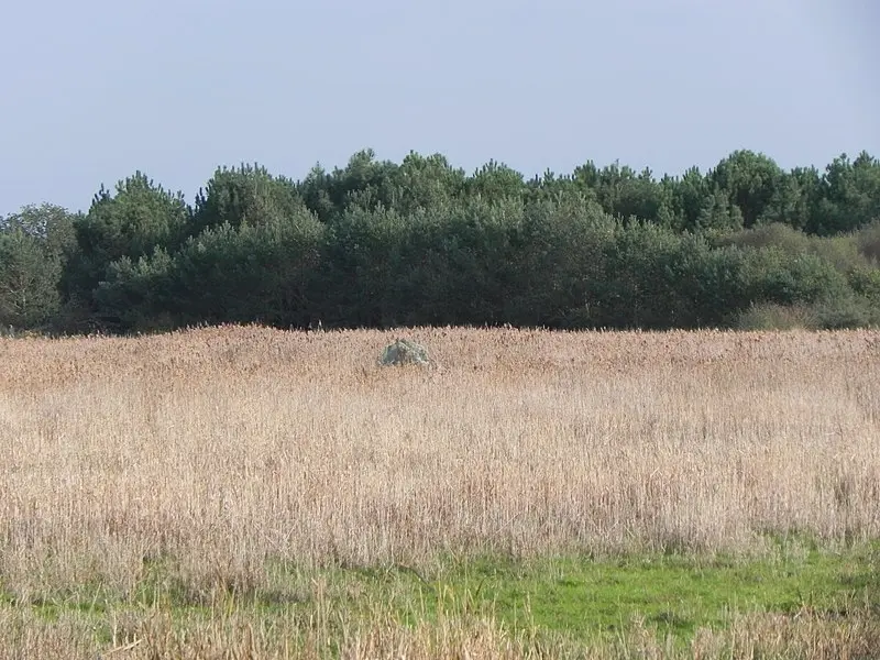 Foto de Menhir dit de Méderac de manera diferente llamado Roche de Len - Poulpy - © Creative Commons (https://creativecommons.org/licenses/by-sa/4.0/deed.fr)