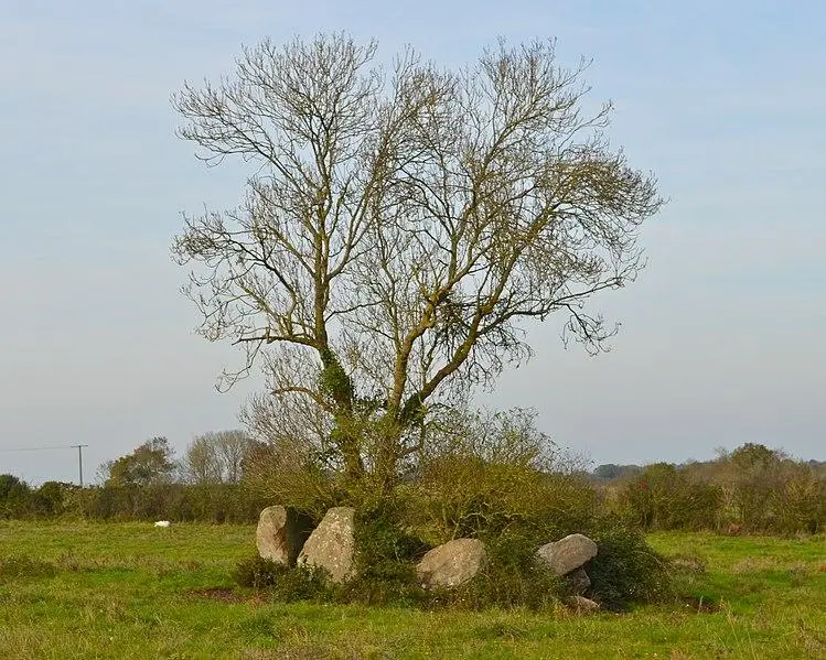 Foto de Dolmen dice el salón de hadas - Selbymay - © Creative Commons (https://creativecommons.org/licenses/by-sa/4.0/deed.fr)