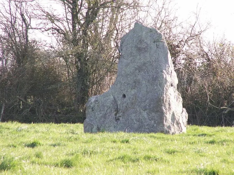 Foto de Menhir del Quarter de Riveraie - Didier POINTEAU - © Creative Commons (https://creativecommons.org/licenses/by-sa/4.0/deed.fr)