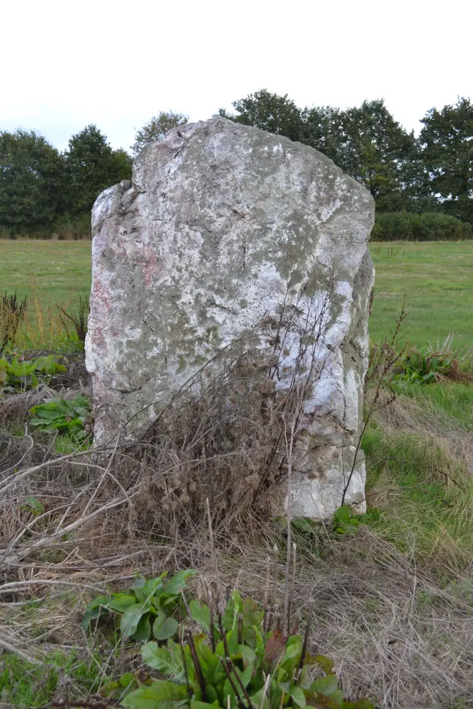 Picture of Megalithic monument called La Roche to the shepherdess - Sous licence Creative Commons (https://creativecommons.org/licenses/by-sa/4.0/deed.fr) - Par Liberliger - © Creative Commons (https://creativecommons.org/licenses/by-sa/4.0/deed.fr)