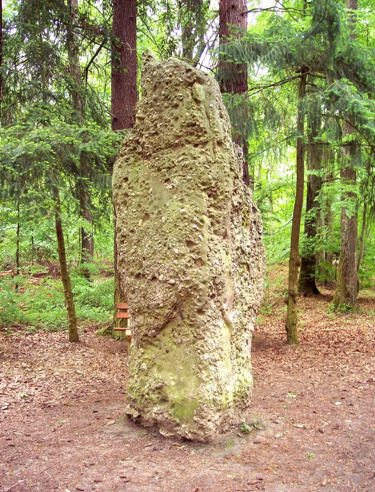 Foto di Menhir des Faux - Sous licence Creative Commons (https://creativecommons.org/licenses/by-sa/4.0/deed.fr) - Par Espirat - © Creative Commons (https://creativecommons.org/licenses/by-sa/4.0/deed.fr)