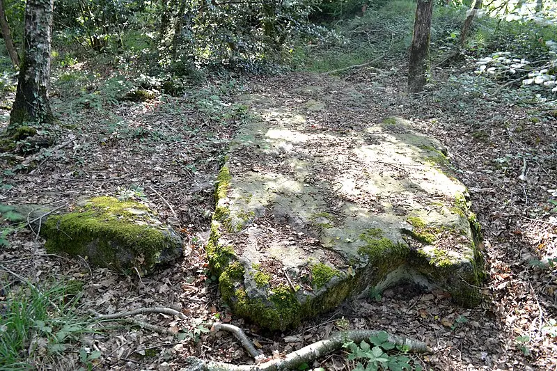 Foto de Monumento megalítico llamado Chopinière Stone - Liberliger - © Creative Commons (https://creativecommons.org/licenses/by-sa/4.0/deed.fr)