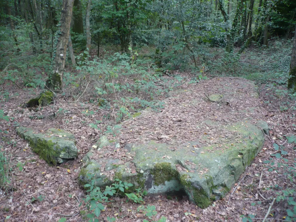 Foto de Monumento megalítico llamado Chopinière Stone - Sous licence Creative Commons (https://creativecommons.org/licenses/by-sa/4.0/deed.fr) - Par Kormin - © Creative Commons (https://creativecommons.org/licenses/by-sa/4.0/deed.fr)