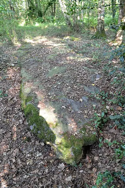 Foto de Monumento megalítico llamado Chopinière Stone - Liberliger - © Creative Commons (https://creativecommons.org/licenses/by-sa/4.0/deed.fr)