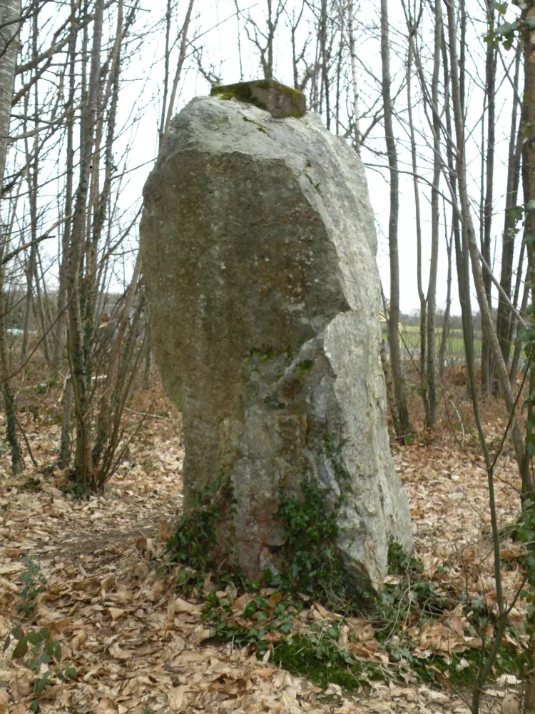 Foto de Menhir dice la piedra que gira - Sous licence Creative Commons (https://creativecommons.org/licenses/by-sa/4.0/deed.fr) - Par Pymouss - © Creative Commons (https://creativecommons.org/licenses/by-sa/4.0/deed.fr)