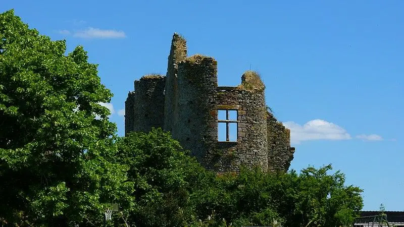 Foto von Château des Hayes Gasselin (Ruinen) - Soahn Lgpx - © Creative Commons (https://creativecommons.org/licenses/by-sa/4.0/deed.fr)