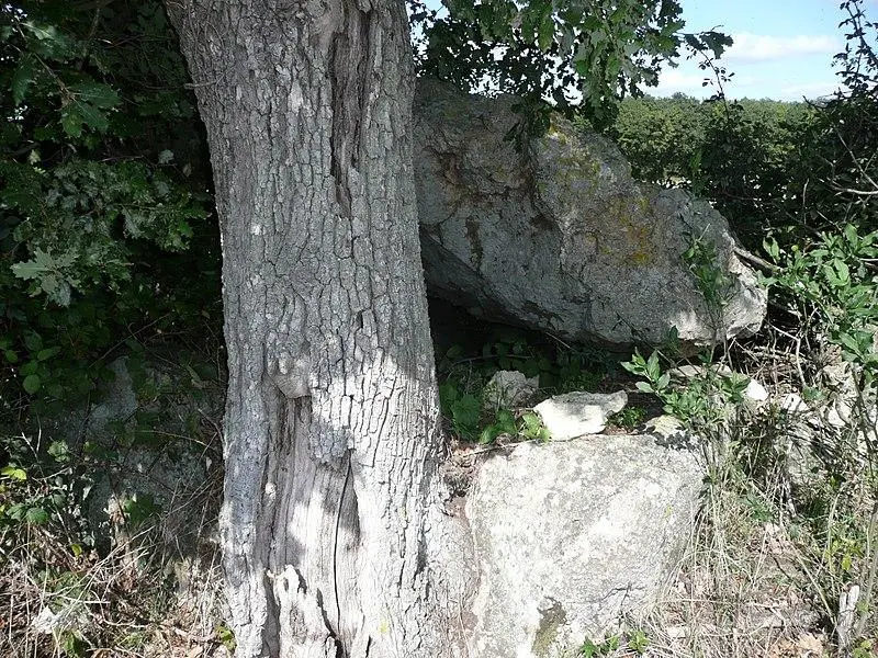 Foto von Dolmen von Chantepierre - Romain Bréget - © Creative Commons (https://creativecommons.org/licenses/by-sa/4.0/deed.fr)
