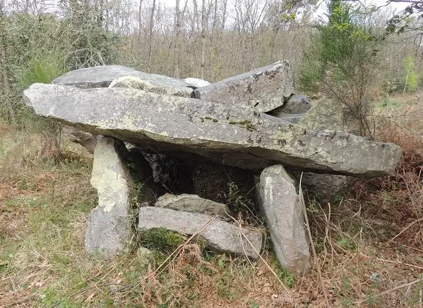 Foto von Dolmen - Grefeuille - © Creative Commons (https://creativecommons.org/licenses/by-sa/4.0/deed.fr)