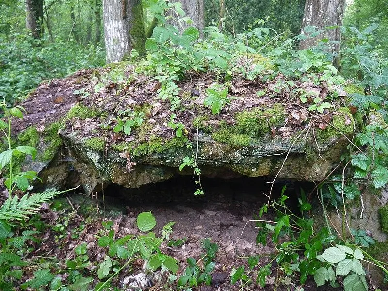 Foto de Tumba megalítica del castillo ferrière - Simon de l'Ouest - © Creative Commons (https://creativecommons.org/licenses/by-sa/4.0/deed.fr)