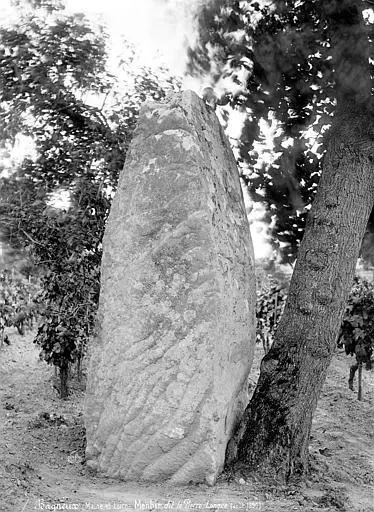 Foto von Menhir sagt der lange Stein - Auteur inconnu - © Creative Commons (https://creativecommons.org/licenses/by-sa/4.0/deed.fr)