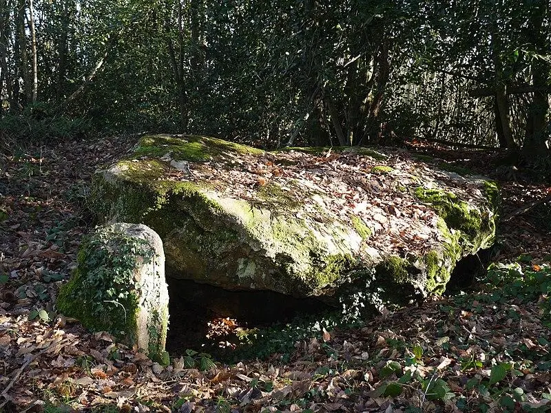 Foto de Dolmen de Petifaie - Simon de l'Ouest - © Creative Commons (https://creativecommons.org/licenses/by-sa/4.0/deed.fr)