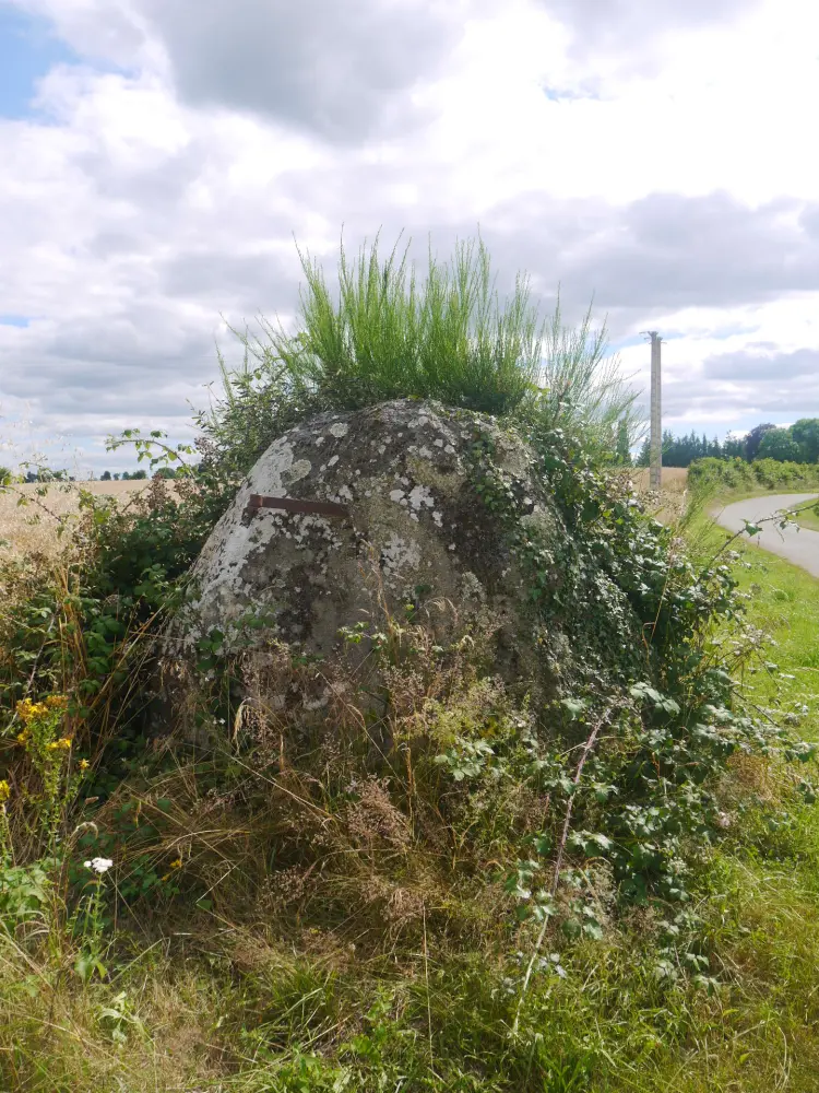 Foto von Menhir du Grand Coudray - Sous licence Creative Commons (https://creativecommons.org/licenses/by-sa/4.0/deed.fr) - Par Simon de l'Ouest - © Creative Commons (https://creativecommons.org/licenses/by-sa/4.0/deed.fr)