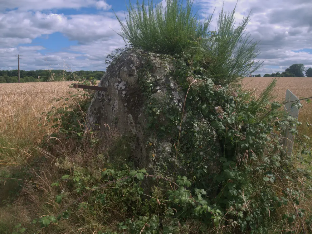 Foto von Menhir du Grand Coudray - Sous licence Creative Commons (https://creativecommons.org/licenses/by-sa/4.0/deed.fr) - Par Simon de l'Ouest - © Creative Commons (https://creativecommons.org/licenses/by-sa/4.0/deed.fr)
