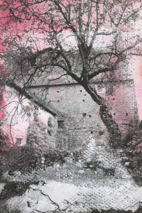 Foto de Casa llamada porche casa - POP Plateforme Ouverte du Patrimoine / Base Mérimée - © Ministère de la Culture (France), Médiathèque du patrimoine et de la photographie, tous droits réservés