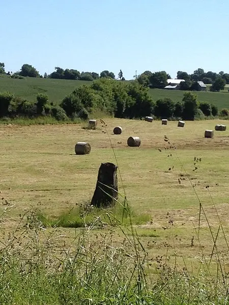 Foto di Menhir - Simon de l'Ouest - © Creative Commons (https://creativecommons.org/licenses/by-sa/4.0/deed.fr)