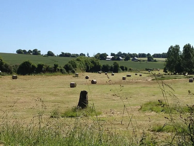 Foto di Menhir - Simon de l'Ouest - © Creative Commons (https://creativecommons.org/licenses/by-sa/4.0/deed.fr)