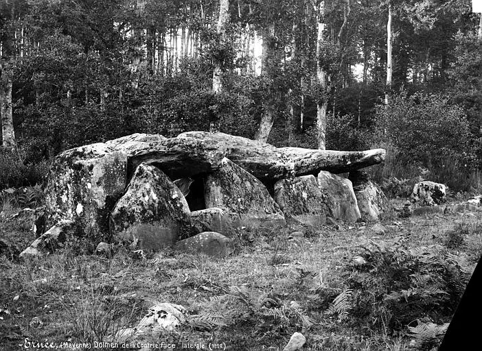 Foto von Dolmen des Rochers - POP Plateforme Ouverte du Patrimoine / Base Mérimée - © Ministère de la Culture (France), Médiathèque du patrimoine et de la photographie, diffusion RMN-GP