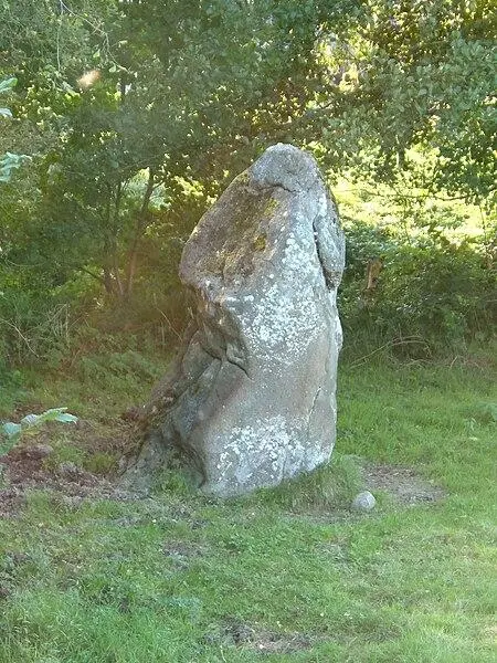 Foto von Menhir de la Boussardière - Ikmo-ned - © Creative Commons (https://creativecommons.org/licenses/by-sa/4.0/deed.fr)