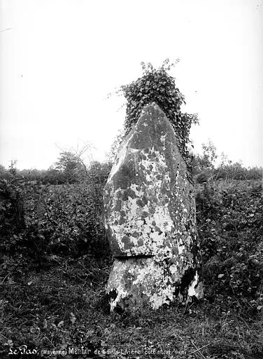 Foto von Menhir de Saint-Civière - POP Plateforme Ouverte du Patrimoine / Base Mérimée - © Ministère de la Culture (France), Médiathèque du patrimoine et de la photographie, diffusion RMN-GP