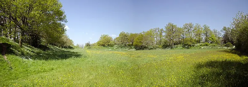 Foto von Beigy Camp - Selbymay - © Creative Commons (https://creativecommons.org/licenses/by-sa/4.0/deed.fr)