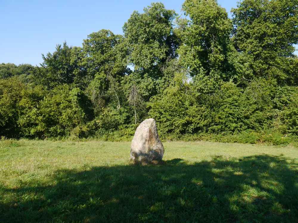 Foto von Menhir - Sous licence Creative Commons (https://creativecommons.org/licenses/by-sa/4.0/deed.fr) - Par Simon de l'Ouest - © Creative Commons (https://creativecommons.org/licenses/by-sa/4.0/deed.fr)