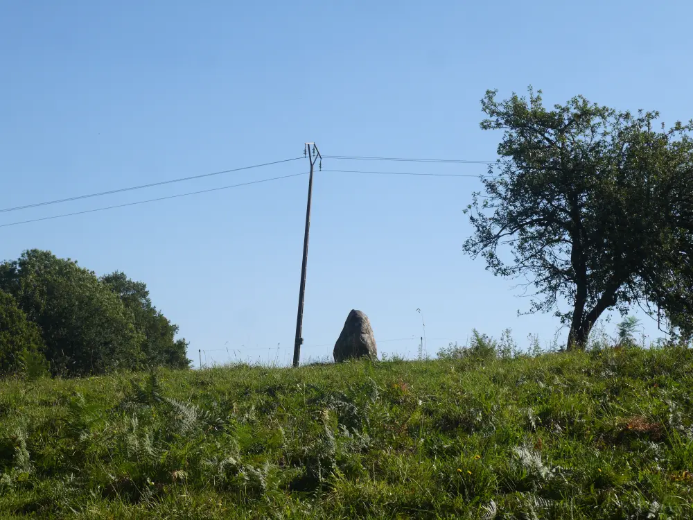 Foto von Menhir - Sous licence Creative Commons (https://creativecommons.org/licenses/by-sa/4.0/deed.fr) - Par Simon de l'Ouest - © Creative Commons (https://creativecommons.org/licenses/by-sa/4.0/deed.fr)