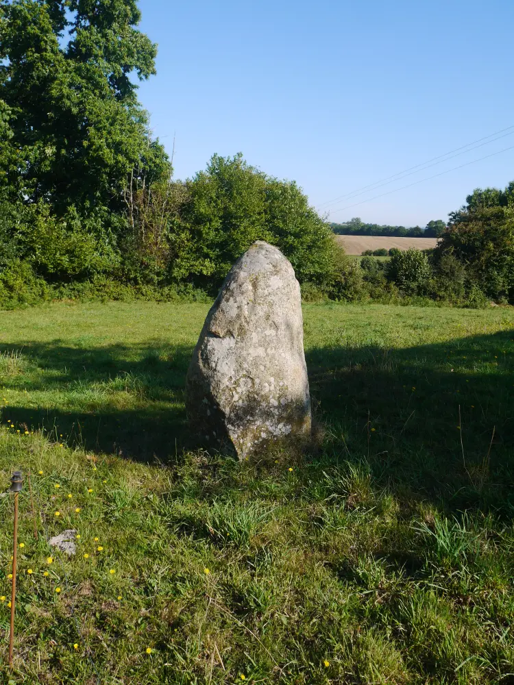 Foto von Menhir - Sous licence Creative Commons (https://creativecommons.org/licenses/by-sa/4.0/deed.fr) - Par Simon de l'Ouest - © Creative Commons (https://creativecommons.org/licenses/by-sa/4.0/deed.fr)