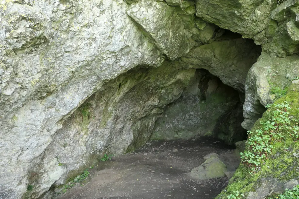 Foto de Grotte decorada con un vilo - Sous licence Creative Commons (https://creativecommons.org/licenses/by-sa/4.0/deed.fr) - Par Fab5669 - © Creative Commons (https://creativecommons.org/licenses/by-sa/4.0/deed.fr)