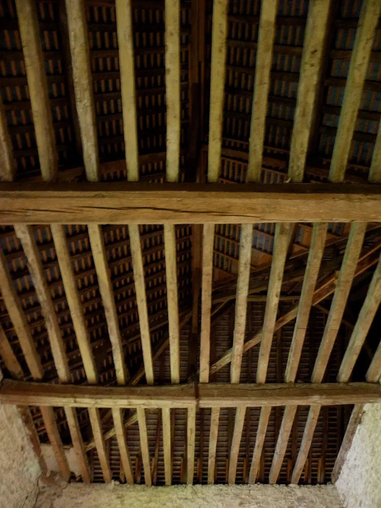 Foto de Ático de sal - Sous licence Creative Commons (https://creativecommons.org/licenses/by-sa/4.0/deed.fr) - Par GO69 - © Creative Commons (https://creativecommons.org/licenses/by-sa/4.0/deed.fr)