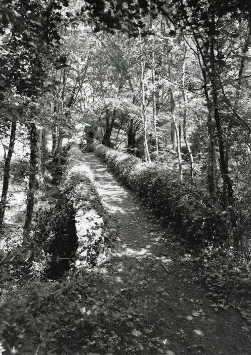 Foto von Muletier Brücke des Moulin Fresnay (auch in der Gemeinde Auvers-Le-Hamon in Sarthe) - POP Plateforme Ouverte du Patrimoine / Base Mérimée - © Ministère de la Culture (France), Médiathèque du patrimoine et de la photographie, tous droits réservés