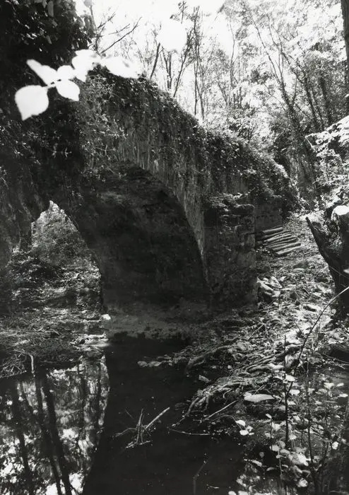 Foto von Muletier Brücke des Moulin Fresnay (auch in der Gemeinde Auvers-Le-Hamon in Sarthe) - POP Plateforme Ouverte du Patrimoine / Base Mérimée - © Ministère de la Culture (France), Médiathèque du patrimoine et de la photographie, tous droits réservés
