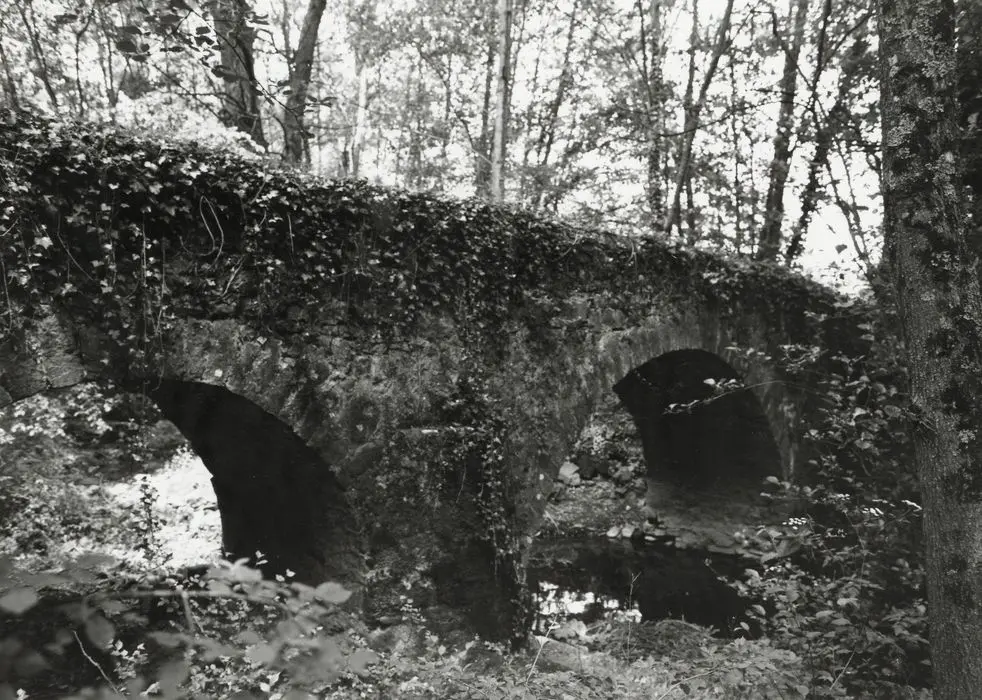 Foto von Muletier Brücke des Moulin Fresnay (auch in der Gemeinde Auvers-Le-Hamon in Sarthe) - POP Plateforme Ouverte du Patrimoine / Base Mérimée - © Ministère de la Culture (France), Médiathèque du patrimoine et de la photographie, tous droits réservés