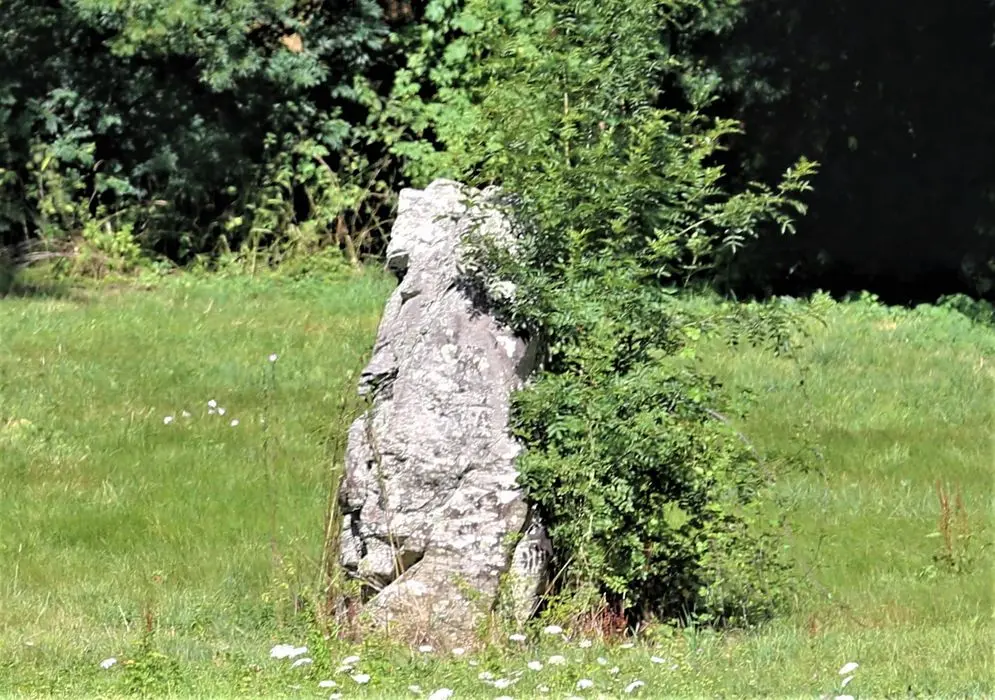 Foto von Menhir - POP Plateforme Ouverte du Patrimoine / Base Mérimée - © Ministère de la Culture (France), Conservation des antiquités et des objets d’art de Vendée - Tous droits réservés