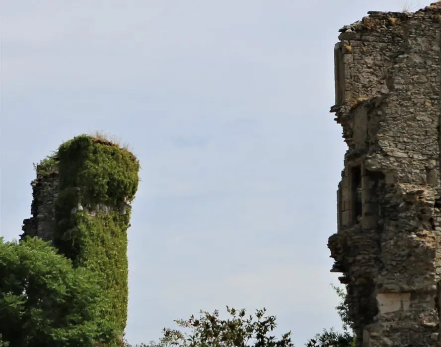 Foto di Castello (vecchio) - POP Plateforme Ouverte du Patrimoine / Base Mérimée - © Ministère de la Culture (France), Conservation des antiquités et des objets d’art de Vendée - Tous droits réservés
