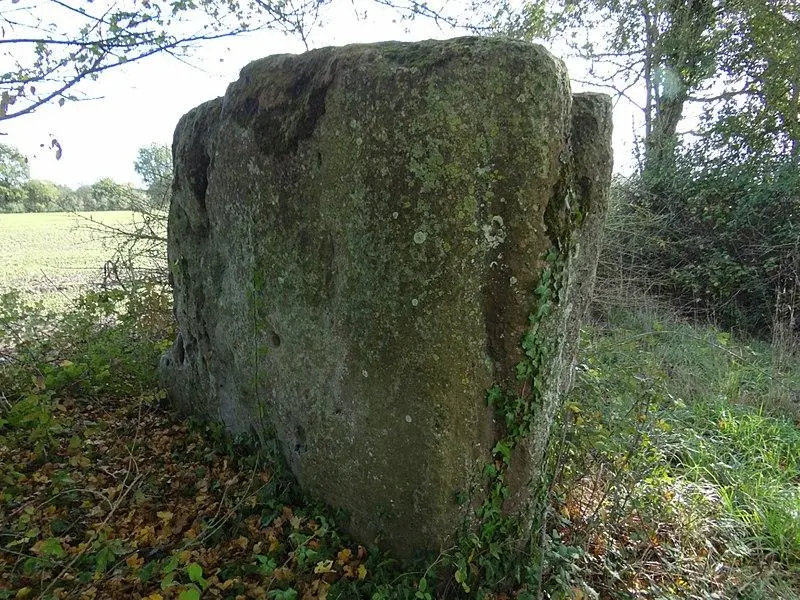 Foto di Menhir dice Pierre-Du-didy - Dileborn - © Creative Commons (https://creativecommons.org/licenses/by-sa/4.0/deed.fr)