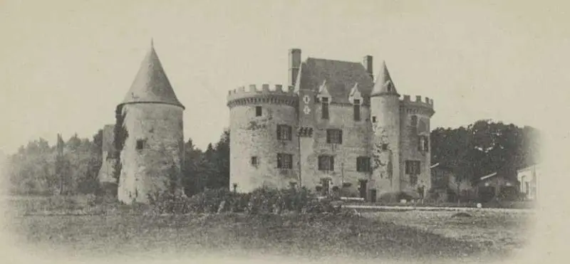 Foto von Fief-Milon Castle - Auteur inconnuUnknown author - © Creative Commons (https://creativecommons.org/licenses/by-sa/4.0/deed.fr)