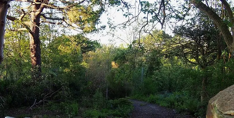 Foto de Jardín Botánico de La Roche Fauconnière - Ikmo-ned - © Creative Commons (https://creativecommons.org/licenses/by-sa/4.0/deed.fr)