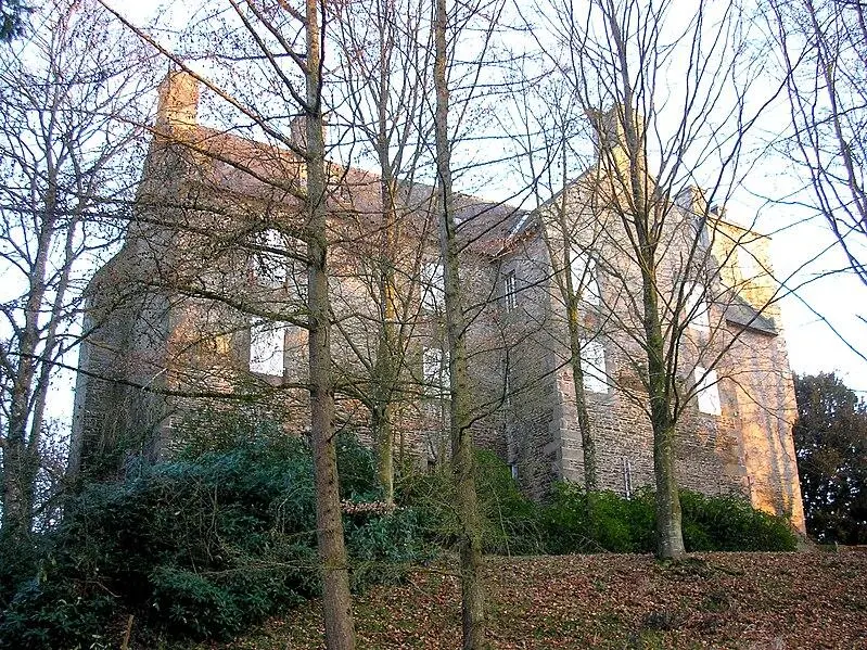 Foto de Chaize château - Ikmo-ned - © Creative Commons (https://creativecommons.org/licenses/by-sa/4.0/deed.fr)
