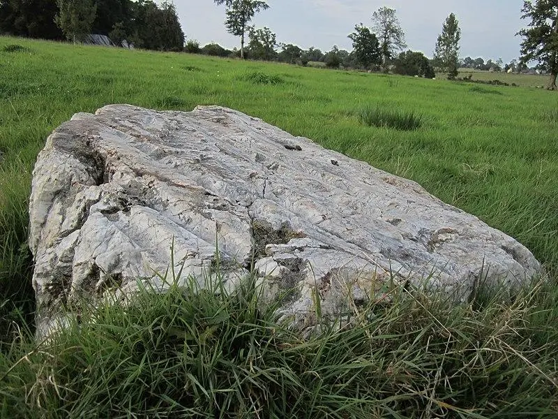 Foto de Polish dice Pierre-Saint-Martin - Xfigpower - © Creative Commons (https://creativecommons.org/licenses/by-sa/4.0/deed.fr)