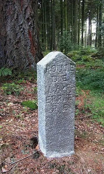 Foto de 80 terminales del bosque Ecoufes (también en comunes de La Chapelle-Près-Sées, La Ferrière-Béchet, Fontenai-Les-Louvets, La Lande-De-Goult, Radon, Rouperroux, Saint-Didier-Sous-Ecuves - Ikmo-ned - © Creative Commons (https://creativecommons.org/licenses/by-sa/4.0/deed.fr)