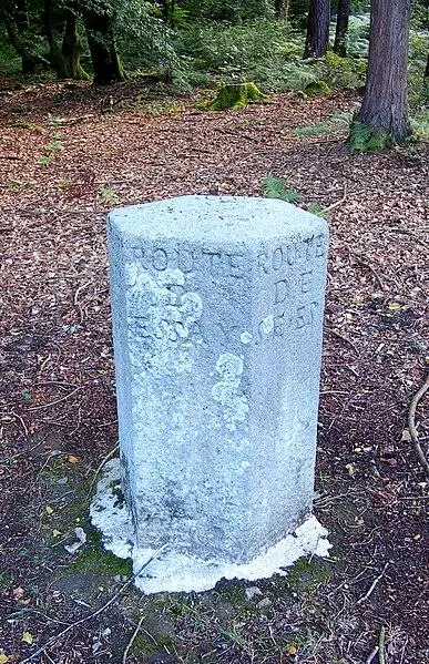Foto von 80 terminals of the Ecouves forest (also in the communes of Le Bouillon, La Chapelle-Près-Sées, La Ferrière-Béchet, La Lande-de-Goult, Radon, Rouperroux, Saint-Didier-sous-écouves, Saint-Gervais-du-Perron, Saint-Nicolas-des-Bois, Tanville and twenty-hanaps) - Ikmo-ned - © Creative Commons (https://creativecommons.org/licenses/by-sa/4.0/deed.fr)
