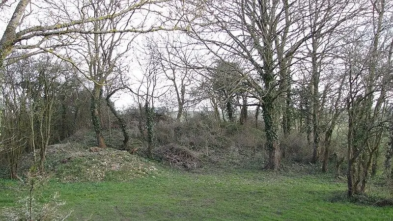 Foto von Tumulus sagt Schweine - Fotonovela - © Creative Commons (https://creativecommons.org/licenses/by-sa/4.0/deed.fr)