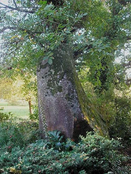 Foto von Perron Menhir - Ikmo-ned - © Creative Commons (https://creativecommons.org/licenses/by-sa/4.0/deed.fr)