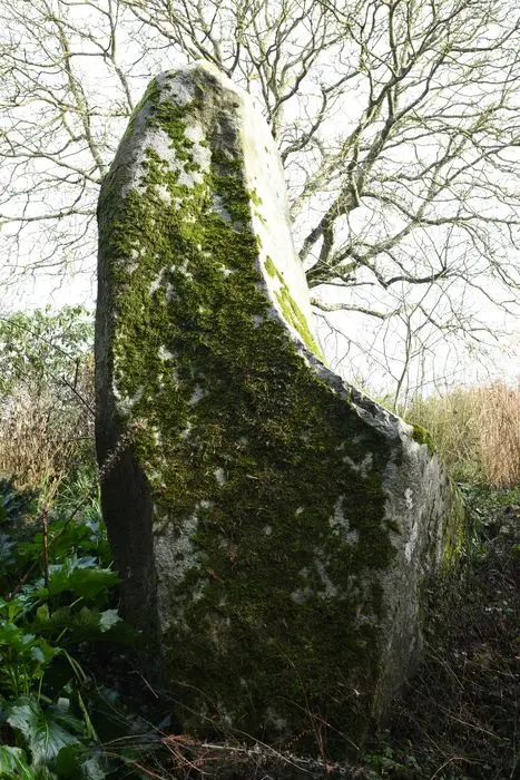 Foto von Perron Menhir - POP Plateforme Ouverte du Patrimoine / Base Mérimée - © Ministère de la Culture (France), Direction Régionale des Affaires Culturelles de Normandie – Tous droits réservés 