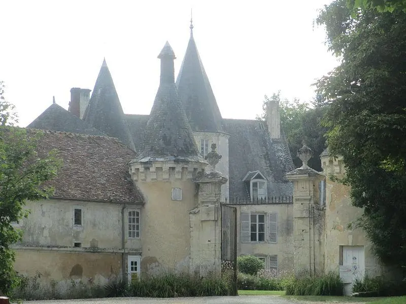 Foto di Castello di Pellonière - Pucesurvitaminee - © Creative Commons (https://creativecommons.org/licenses/by-sa/4.0/deed.fr)