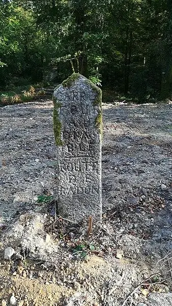 Foto von 80 terminals of the Ecouves forest (also in communes of Le Bouillon, La Chapelle-Près-Sées, La Ferrière-Béchet, Fontenai-les-Louvets, La Lande-de-Goult, Rouperroux, Saint-Didier-sous-Ecouves, Saint-Gervais-du-Perron, Saint-Nicolas-des-Bois, Tanville and twenty-hanaps)) - Esprit Fugace - © Creative Commons (https://creativecommons.org/licenses/by-sa/4.0/deed.fr)