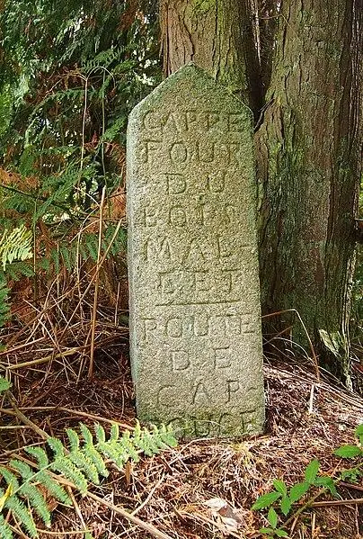 Foto de 80 terminales del bosque Ecoufes (también en Comunas de Le Bouillon, La Chapelle-Près, La Ferrière-Béchet, Fontenai-Les-Louvets, La Lande-De-Goult, Radon, Rouperroux, Saint-Gervais-Du-Perron, Saint-Nicola-Des-Bois, Tanville y Twenty-Hanaps) - Ikmo-ned - © Creative Commons (https://creativecommons.org/licenses/by-sa/4.0/deed.fr)