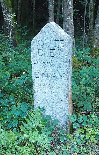 Foto von 80 terminals of the Ecouves forest (also in communes of Le Bouillon, La Chapelle-Près-Sées, La Ferrière-Béchet, Fontenai-les-Louvets, La Lande-de-Goult, Radon, Rouperroux, Saint-Didier-sous-Ecouves, Saint-Gervais-du-Perron, Tanville and twenty-hanaps) - Ikmo-ned - © Creative Commons (https://creativecommons.org/licenses/by-sa/4.0/deed.fr)