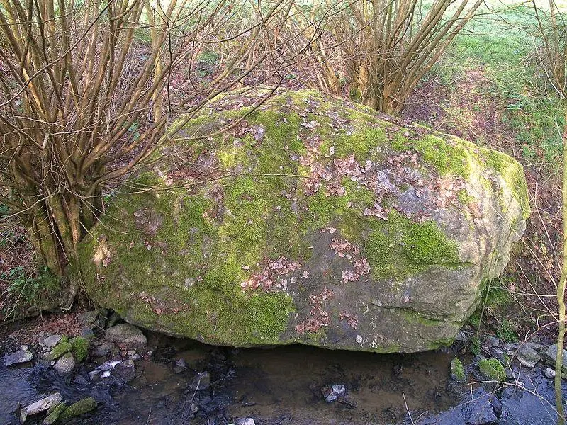 Foto von Megalith - Roi.dagobert - © Creative Commons (https://creativecommons.org/licenses/by-sa/4.0/deed.fr)